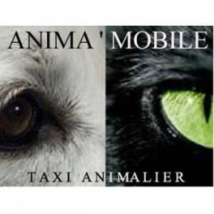 Photo de Anima'Mobile