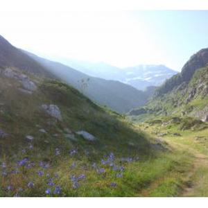 Livraison de courses, ménage, repassage dans le 65