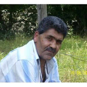 taieb, 57 ans, jardine