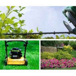 Photo de Lopez  services Jardin