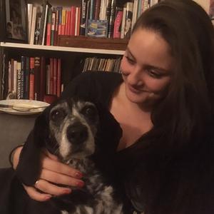 Garde de chien à mon domicil