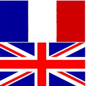Cours particulier de Français/Anglais
