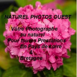 Photo de NATUREL PHOTOS OUEST