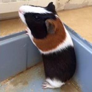 Thomas, 27 ans photographe à Niort