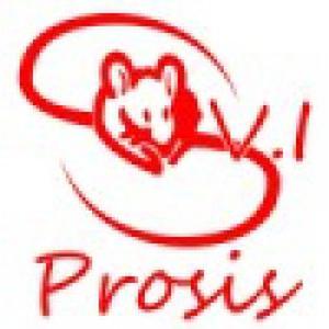 Photo de SVI PROSIS