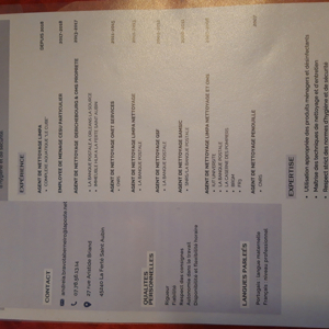 Cherche travail de femme ménage sur la Ferte Saint Aubin