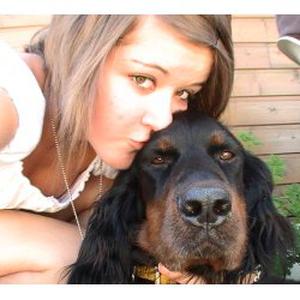 Promenades pour vos animaux