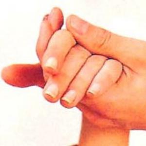 Photo de Holistic touch