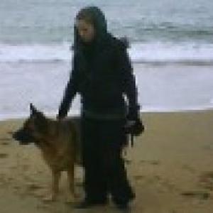 Photo de dogsitting