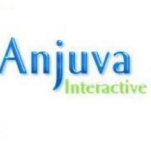 Photo de Anjuva Interactive