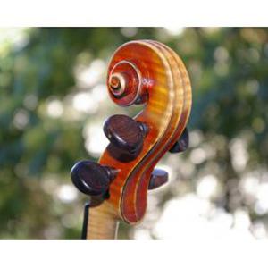 Photo de Violoncours
