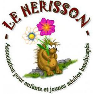 Association pour jeunes handicapés