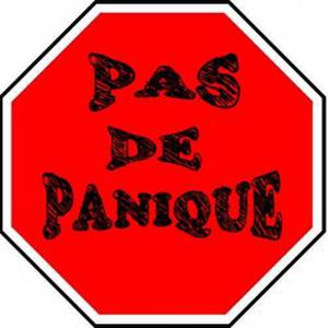 Pas de Panique DEPANNAGE Informatique et Internet