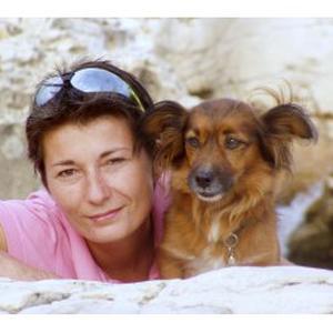 Pension,  visite,  transport,  éducation  animaux