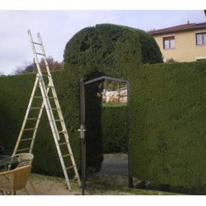 Entretien parcs et jardins