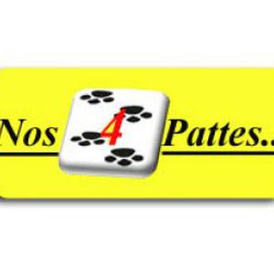 Photo de Nos 4 Pattes