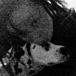 Cours de dessin débutant