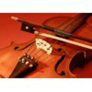 professeur de Violon