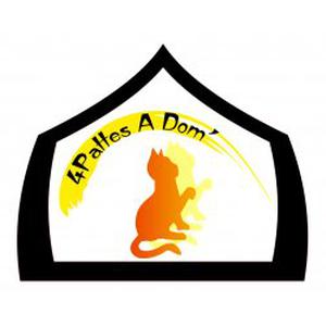 Photo de 4 pattes a dom