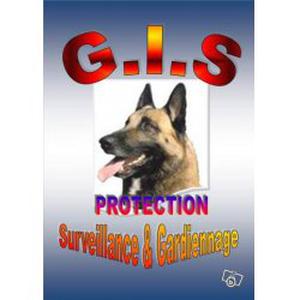 Photo de GIS Protection