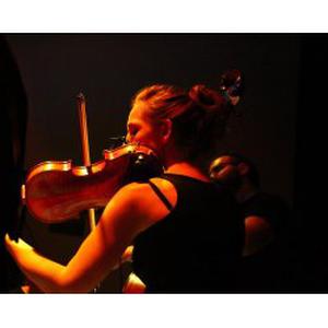 Cours de violon et violon-alto à domicile