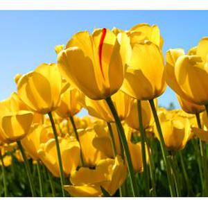 Aide aux personnes âgées