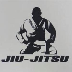 Julien, 36 ans éducateur sportif diplômé, propose des cours de boxe, jiujitsu brésilien, self défense, remise en forme