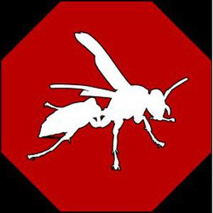 Destruction Guêpes Yvelines, nid de guêpes, frelons asiatiques