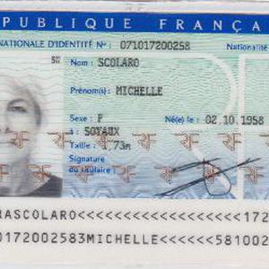 ménage, repassage, courses, accompagnements aux R.V., formalités administratives