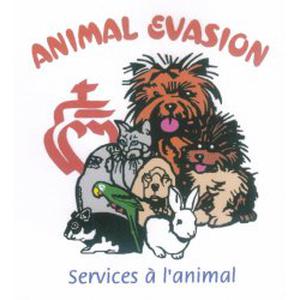 Photo de Animal Evasion