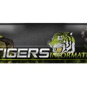 Photo de Tigers Informatik