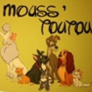 Photo de MoussToutou