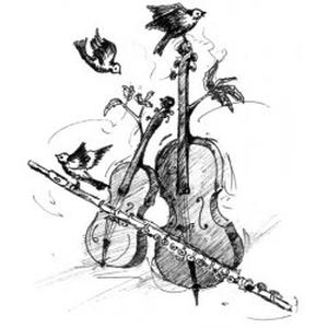 Venez rejoindre un orchestre classique de qualité !