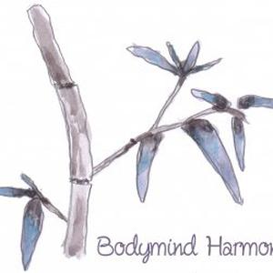 Photo de bodymind harmony