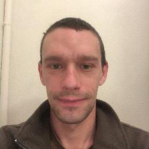 Entretien et petites créations de jardins, debroussaillage, elagage, gazon, potager et petits bricolages