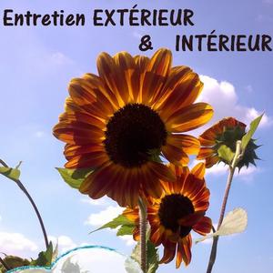 Jardinier - Bricoleur