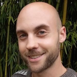 Garde ou Sortie, balade d'animeaux de compagnie