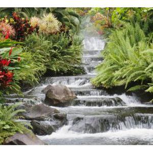Photo de imperatrice
