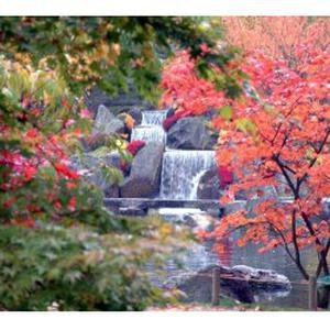 Photo de st cyp jardins