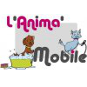 Salon de Toilettage à Domicile