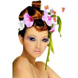 COIFFY coiffure à domicile