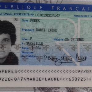 menages repassages coutures  promener les animaux si a