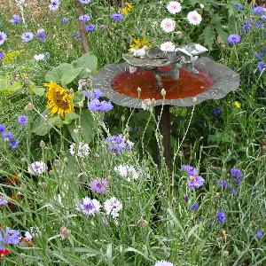 Jardins et espaces verts