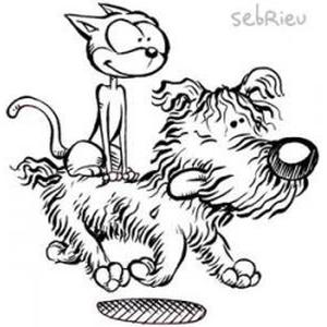 Photo de COMME CHIEN ET CHAT