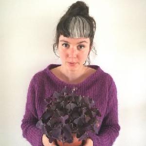 Cours de maths jusqu'au collège