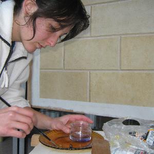 Assistante de vie région de Rennes