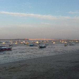 Femme de ménage  et repassage