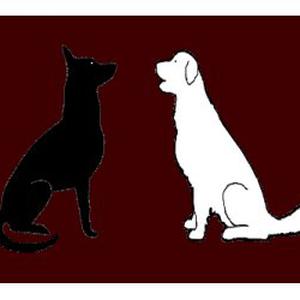 Photo de Bon Sens Canin