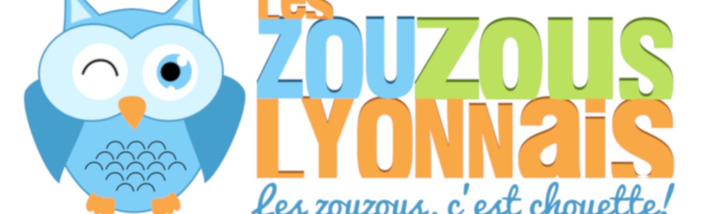 photo couverture LES ZOUZOUS LYONNAIS