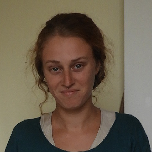 aide à domicile (auxiliaire de vie, baby sitter, aide ménagère,...)